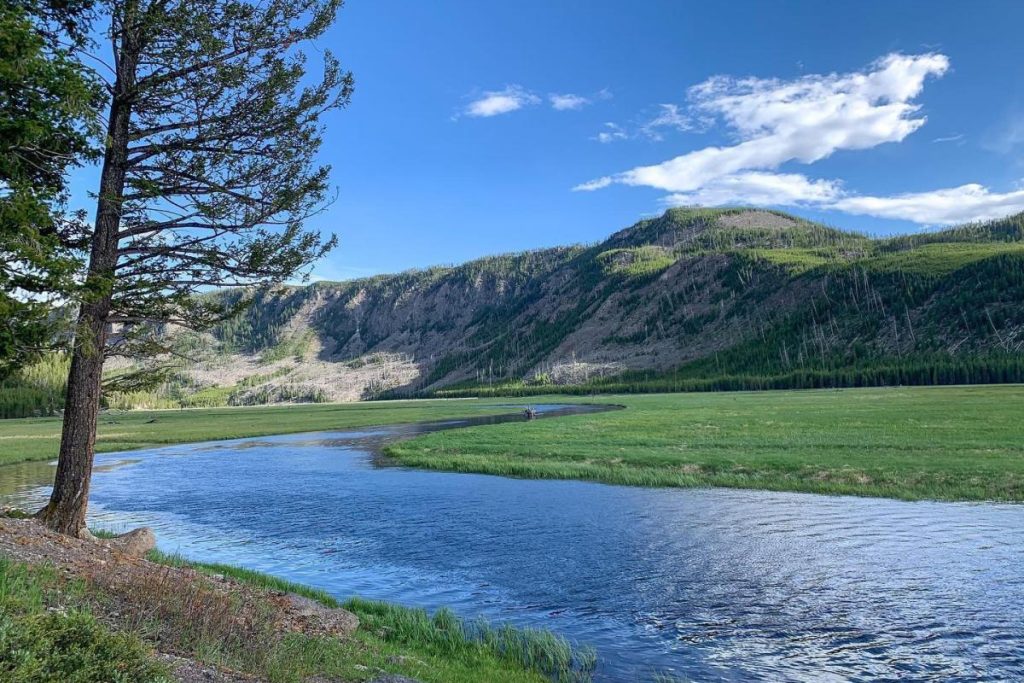 yellowstone national park