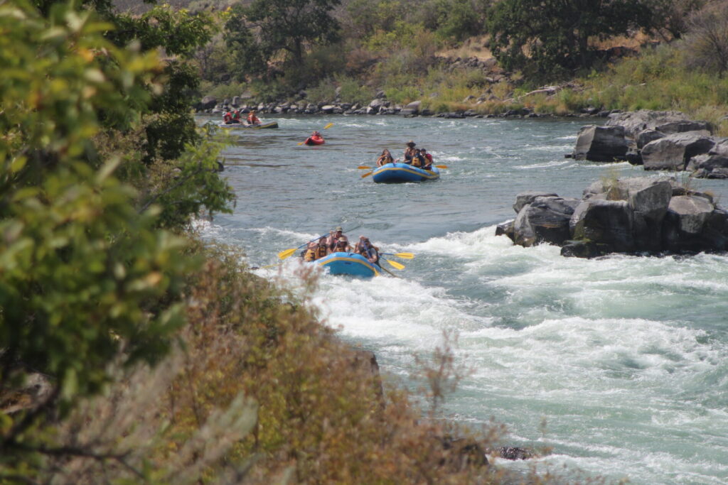 Colorado River Rafting Navigating Nature's Watercourse