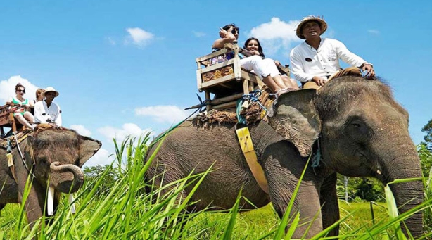 elephant riding bali