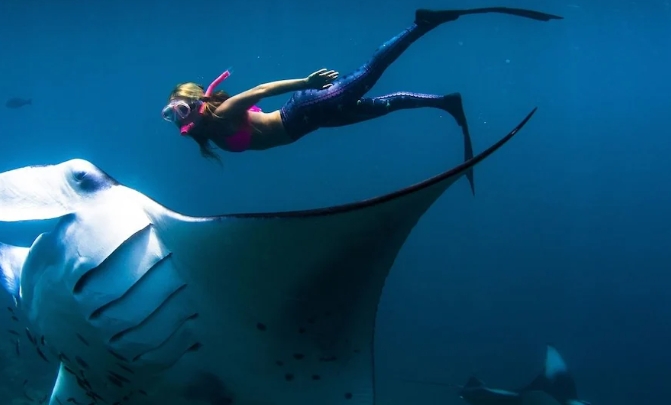 nusa lembongan manta rays