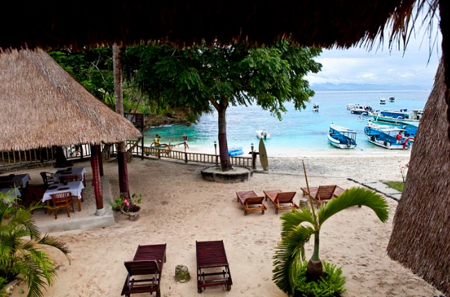 mola mola lembongan