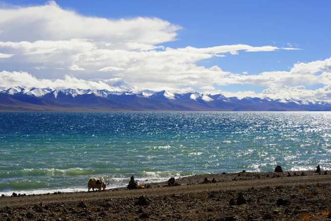 namtso lake institute
