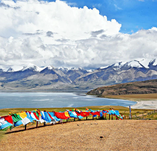 tibetan singer namtso