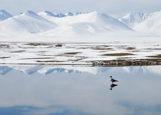 tibet lake namtso