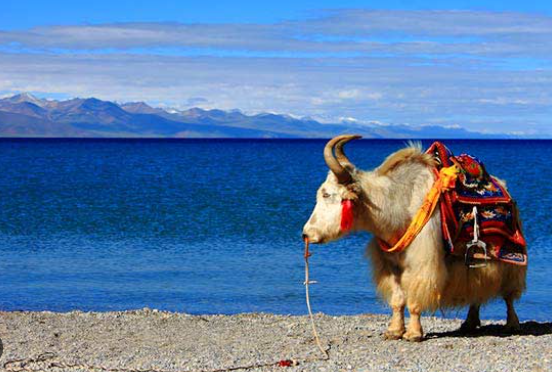 lake namtso weather