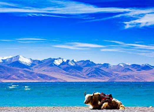 namtso lake tour