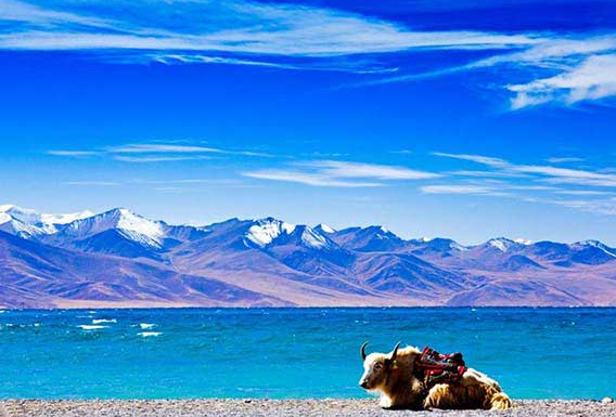 namtso lake to lhasa