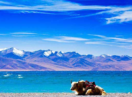 namtso holy lake tibet