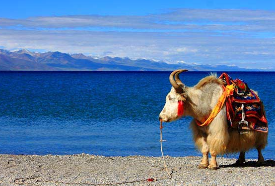 namtso lake weather