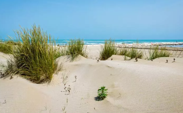 alberoni beach