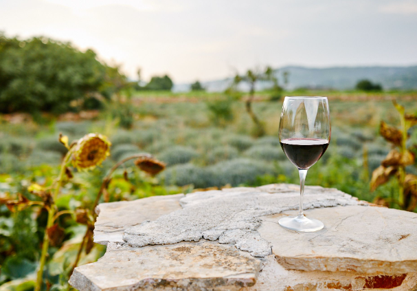 Croatian Wine Tasting Guide