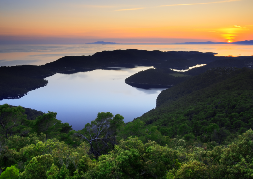 Mljet Travel Guide