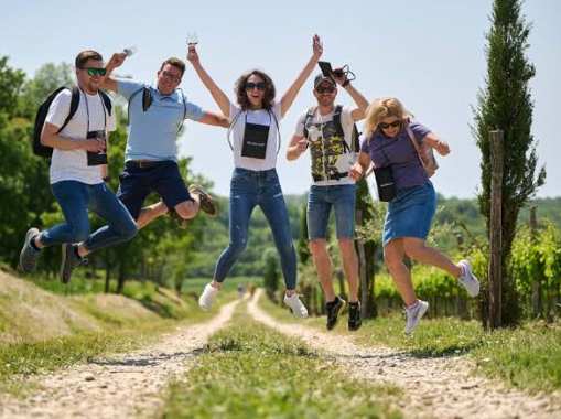 Istria Wine Travel Guide