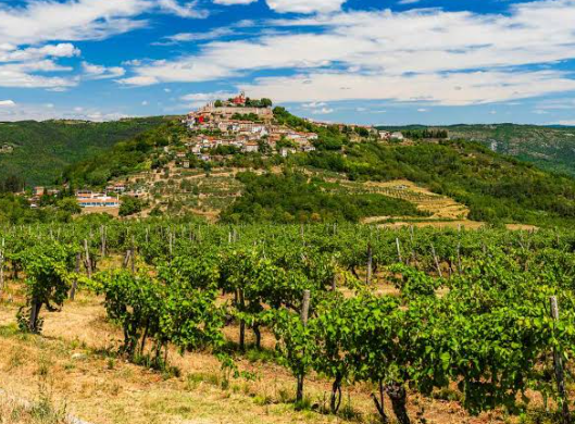 Croatia Wine Travel Guide